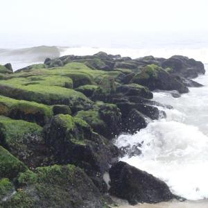 Rocky beach