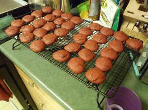 All lined up! And this is only 1 rack. The recipe made 80 cookies and 40 sandwiches.
