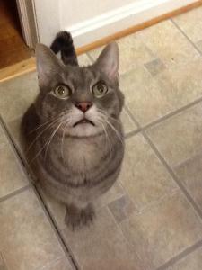 My Buddha. April 19, 1998 - January 31, 2014