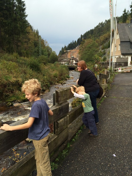 There are lots of waterfalls and pretty streams in the Black Forest. This one goes right through Triberg.