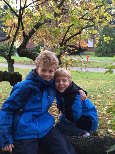 My boys sitting in a tree having a great time.