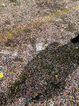 The ground is absolutely covered in confetti!