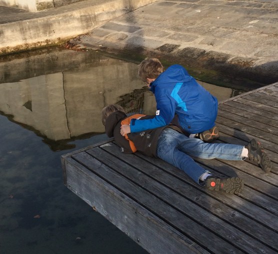 The only way to see the fish.