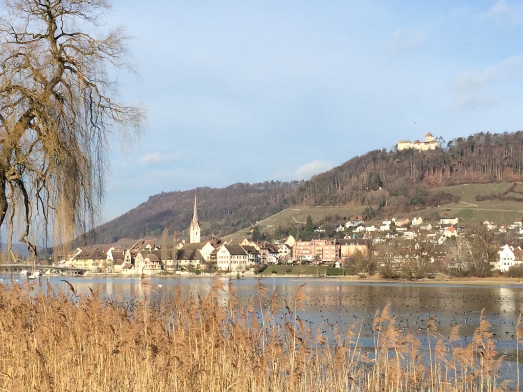 The Swiss Family Carlson find Stein-am-Rhein