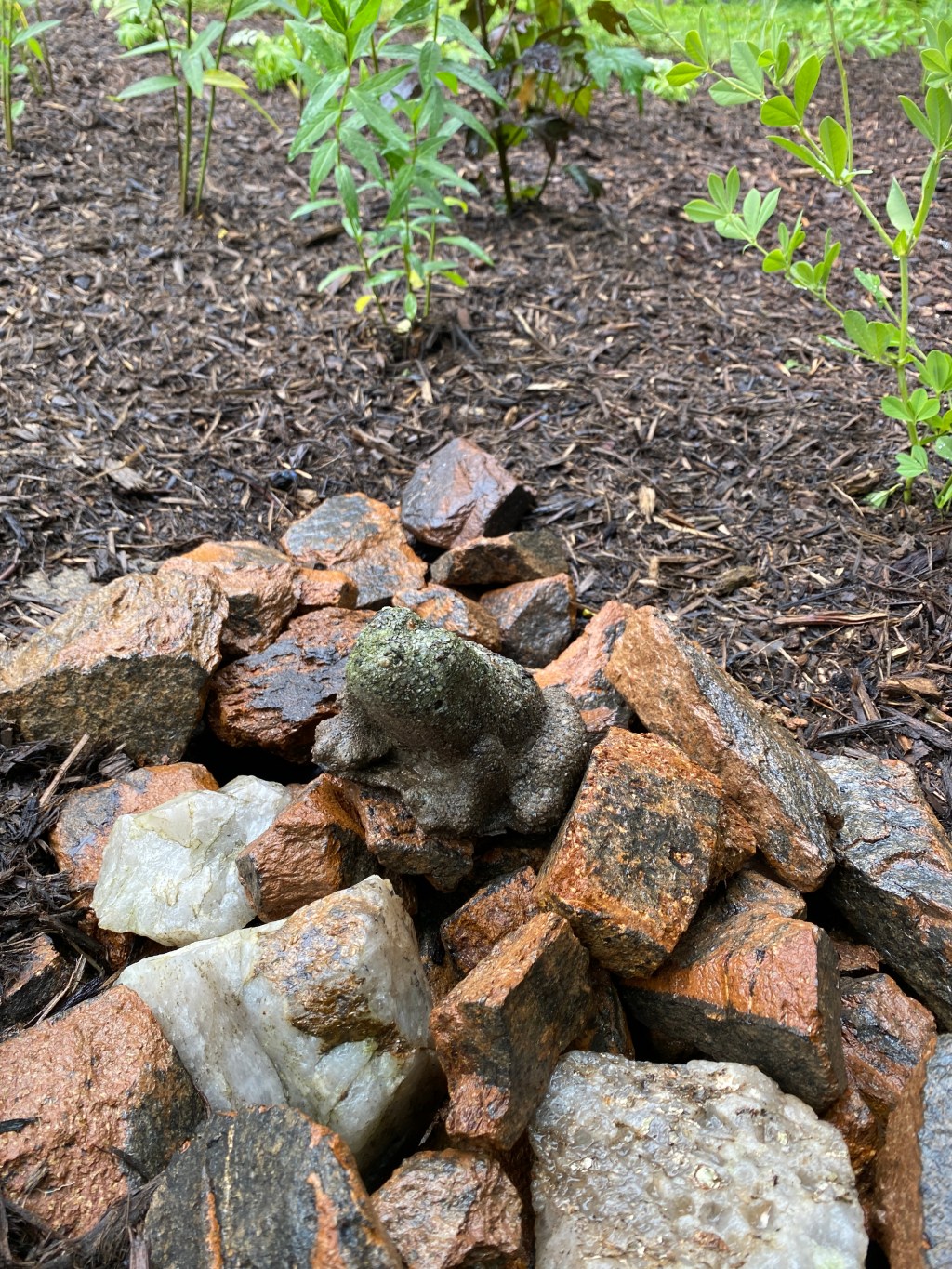 Rain Garden Plans and&nbsp;Pics